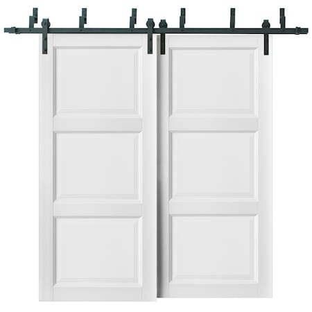 Sartodoors Barn Bypass Interior Door, 72" x 80", White LUCIA2661BBB-BEM-72